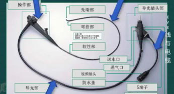 Composition and function of flexible endoscope operating part