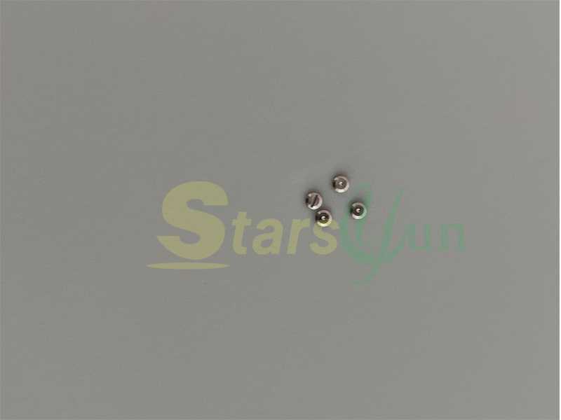 Pentax D025-SG026 Cover Glass Screw